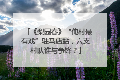 《梨园春》“俺村最有戏”驻马店站，六支村队谁与争锋？