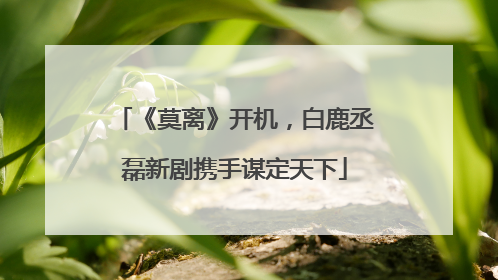《莫离》开机，白鹿丞磊新剧携手谋定天下