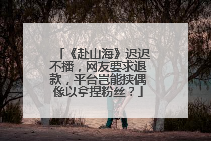 《赴山海》迟迟不播，网友要求退款，平台岂能挟偶像以拿捏粉丝？
