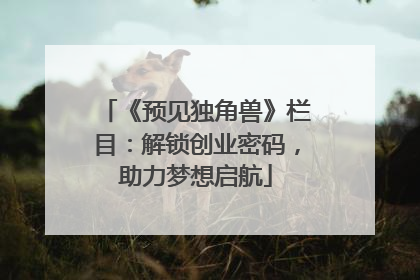 《预见独角兽》栏目：解锁创业密码，助力梦想启航