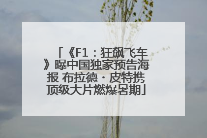 《F1：狂飙飞车》曝中国独家预告海报 布拉德・皮特携顶级大片燃爆暑期