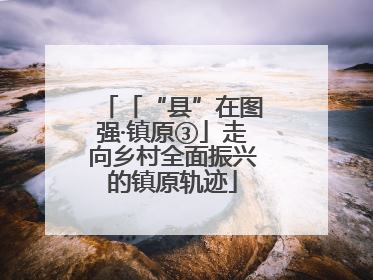 「“县”在图强·镇原③」走向乡村全面振兴的镇原轨迹