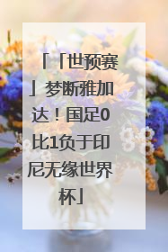 「世预赛」梦断雅加达！国足0比1负于印尼无缘世界杯