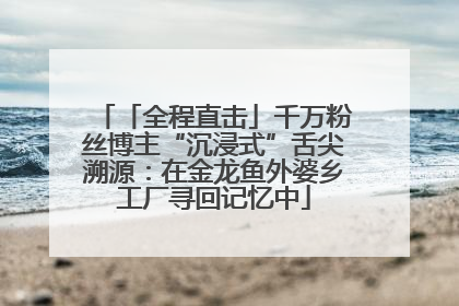 「全程直击」千万粉丝博主“沉浸式”舌尖溯源：在金龙鱼外婆乡工厂寻回记忆中