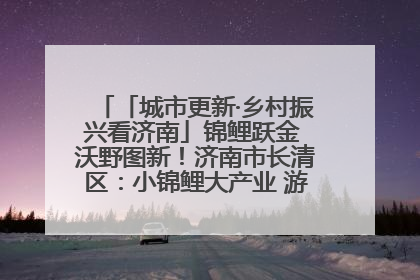 「城市更新·乡村振兴看济南」锦鲤跃金 沃野图新！济南市长清区：小锦鲤大产业 游出农旅新风景