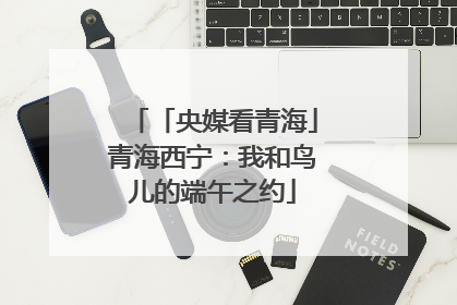 「央媒看青海」青海西宁：我和鸟儿的端午之约