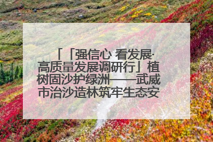 「强信心 看发展·高质量发展调研行」植树固沙护绿洲——武威市治沙造林筑牢生态安全屏障见闻