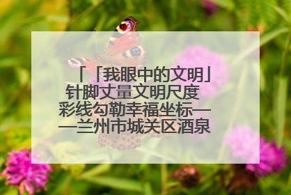 「我眼中的文明」针脚丈量文明尺度 彩线勾勒幸福坐标——兰州市城关区酒泉路街道办事处
