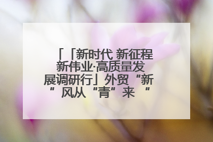 「新时代 新征程 新伟业·高质量发展调研行」外贸“新”风从“青”来 “双向奔赴”启新程