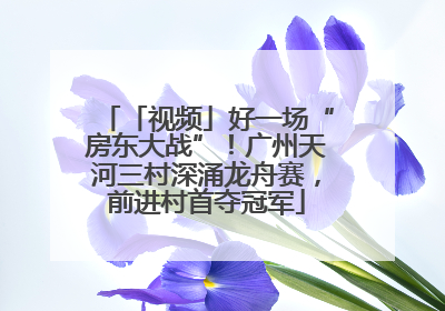「视频」好一场“房东大战”！广州天河三村深涌龙舟赛，前进村首夺冠军