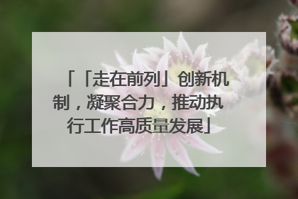 「走在前列」创新机制，凝聚合力，推动执行工作高质量发展