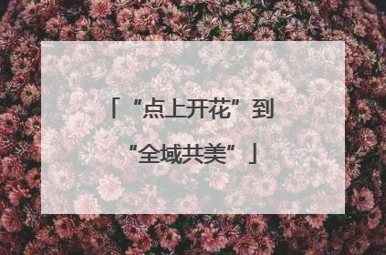 “点上开花”到“全域共美”