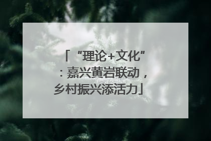 “理论+文化”：嘉兴黄岩联动，乡村振兴添活力