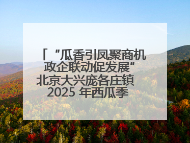 “瓜香引凤聚商机 政企联动促发展”北京大兴庞各庄镇 2025 年西瓜季政企联动产业推介活动圆满举行