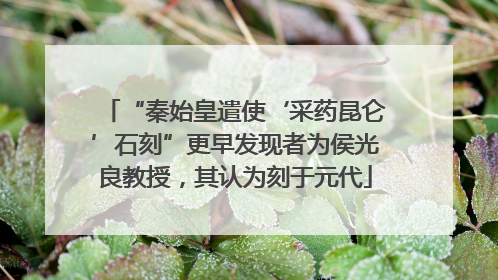 “秦始皇遣使‘采药昆仑’石刻”更早发现者为侯光良教授，其认为刻于元代