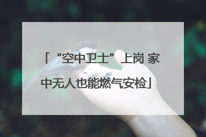 “空中卫士”上岗 家中无人也能燃气安检