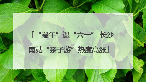 “端午”遇“六一” 长沙南站“亲子游”热度高涨
