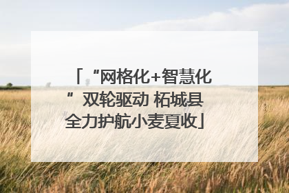 “网格化+智慧化”双轮驱动 柘城县全力护航小麦夏收