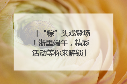 “粽”头戏登场！浙里端午，精彩活动等你来解锁