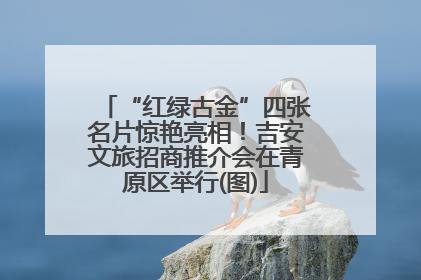 “红绿古金”四张名片惊艳亮相！吉安文旅招商推介会在青原区举行(图)