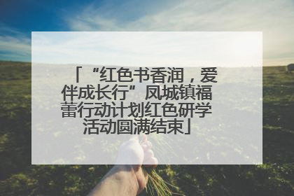 “红色书香润，爱伴成长行”凤城镇福蕾行动计划红色研学活动圆满结束
