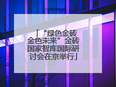 “绿色金砖 金色未来”金砖国家智库国际研讨会在京举行