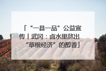 “一县一品”公益宣传丨武冈：卤水里熬出“草根经济”的醇香