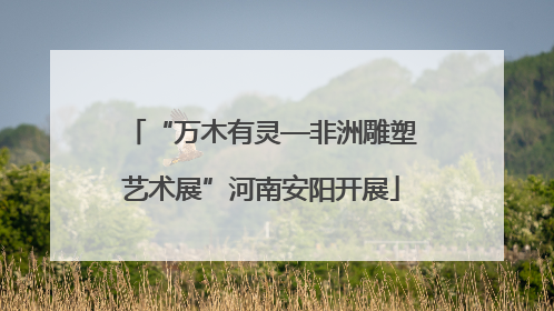 “万木有灵—非洲雕塑艺术展”河南安阳开展