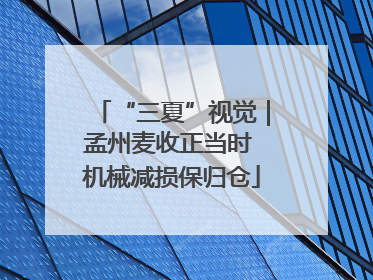 “三夏”视觉｜孟州麦收正当时 机械减损保归仓