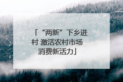 “两新”下乡进村 激活农村市场消费新活力