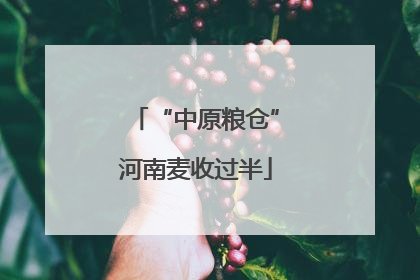 “中原粮仓”河南麦收过半