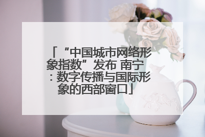 “中国城市网络形象指数”发布 南宁：数字传播与国际形象的西部窗口