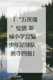 “五玫瑰”绽放 新城小学混编少年足球队勇夺四强