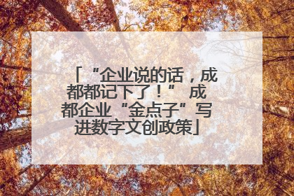 “企业说的话，成都都记下了！” 成都企业“金点子”写进数字文创政策