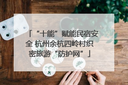 “十能”赋能民宿安全 杭州余杭四岭村织密旅游“防护网”