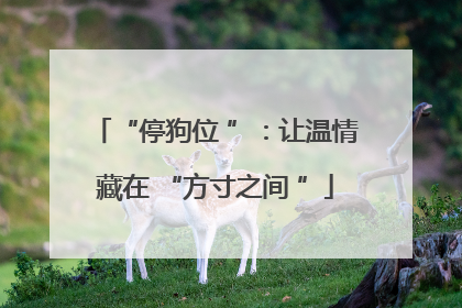 “停狗位 ”：让温情藏在 “方寸之间 ”