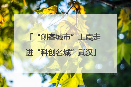 “创客城市”上虞走进“科创名城”武汉
