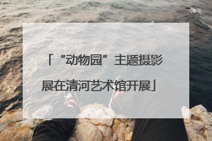“动物园”主题摄影展在清河艺术馆开展