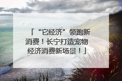 “它经济”领跑新消费！长宁打造宠物经济消费新场景！