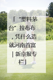 “塑料茅台”拉布布，凭什么造就河南首富｜新京报专栏