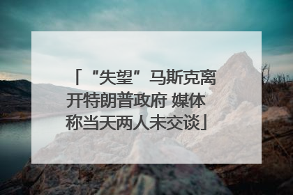 “失望”马斯克离开特朗普政府 媒体称当天两人未交谈