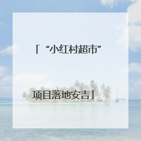 “小红村超市”项目落地安吉