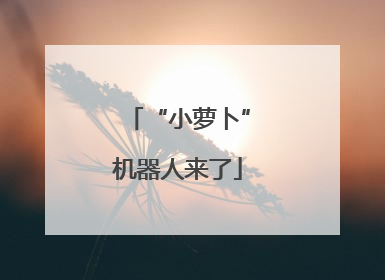 “小萝卜”机器人来了