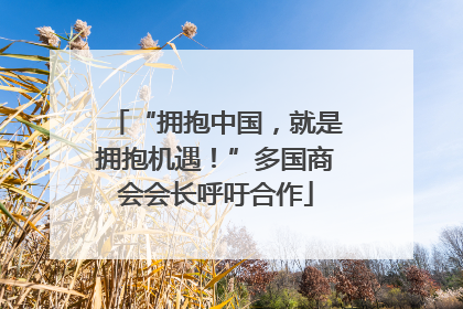 “拥抱中国，就是拥抱机遇！”多国商会会长呼吁合作