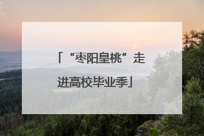 “枣阳皇桃”走进高校毕业季