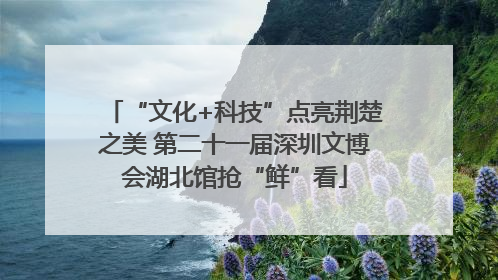 “文化+科技”点亮荆楚之美 第二十一届深圳文博会湖北馆抢“鲜”看