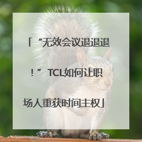 “无效会议退退退！”TCL如何让职场人重获时间主权