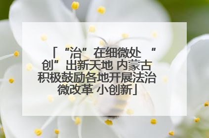 “治”在细微处 “创”出新天地 内蒙古积极鼓励各地开展法治微改革 小创新