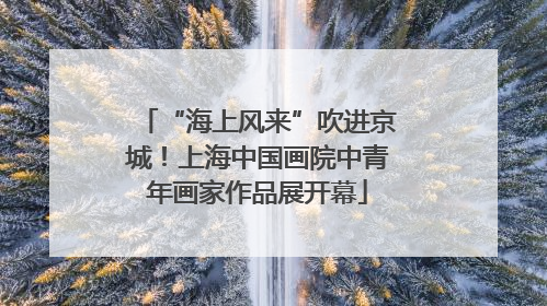 “海上风来”吹进京城！上海中国画院中青年画家作品展开幕