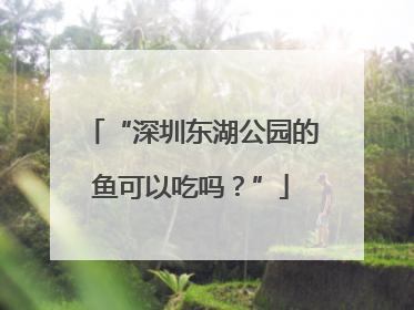 “深圳东湖公园的鱼可以吃吗？”